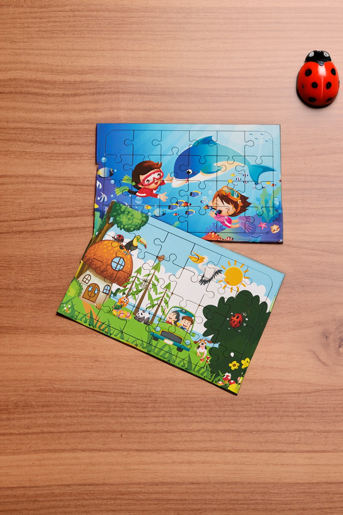 Okul Öncesi Başlangıç Yapboz Dalgıç Ve Hayvanlar Alemi Ahşap Puzzle Set