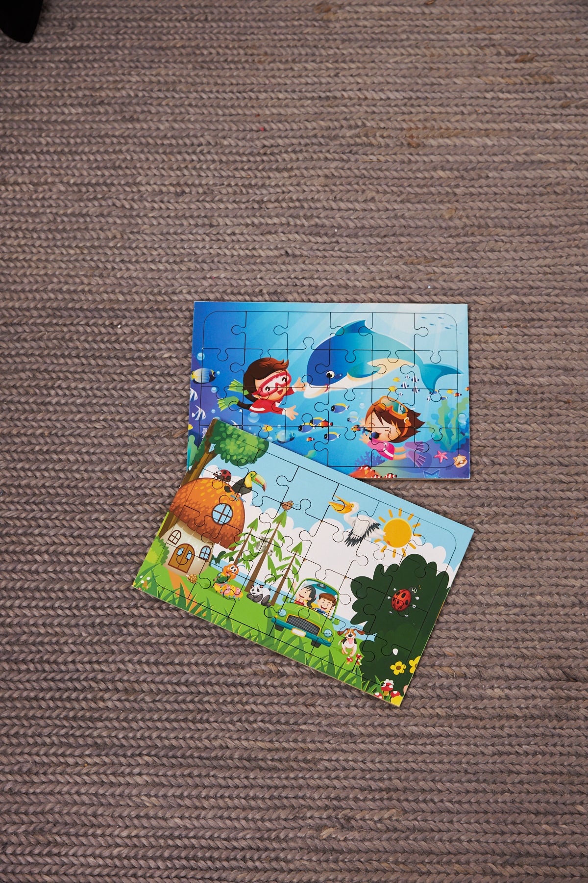 Okul Öncesi Başlangıç Yapboz Dalgıç Ve Hayvanlar Alemi Ahşap Puzzle Set