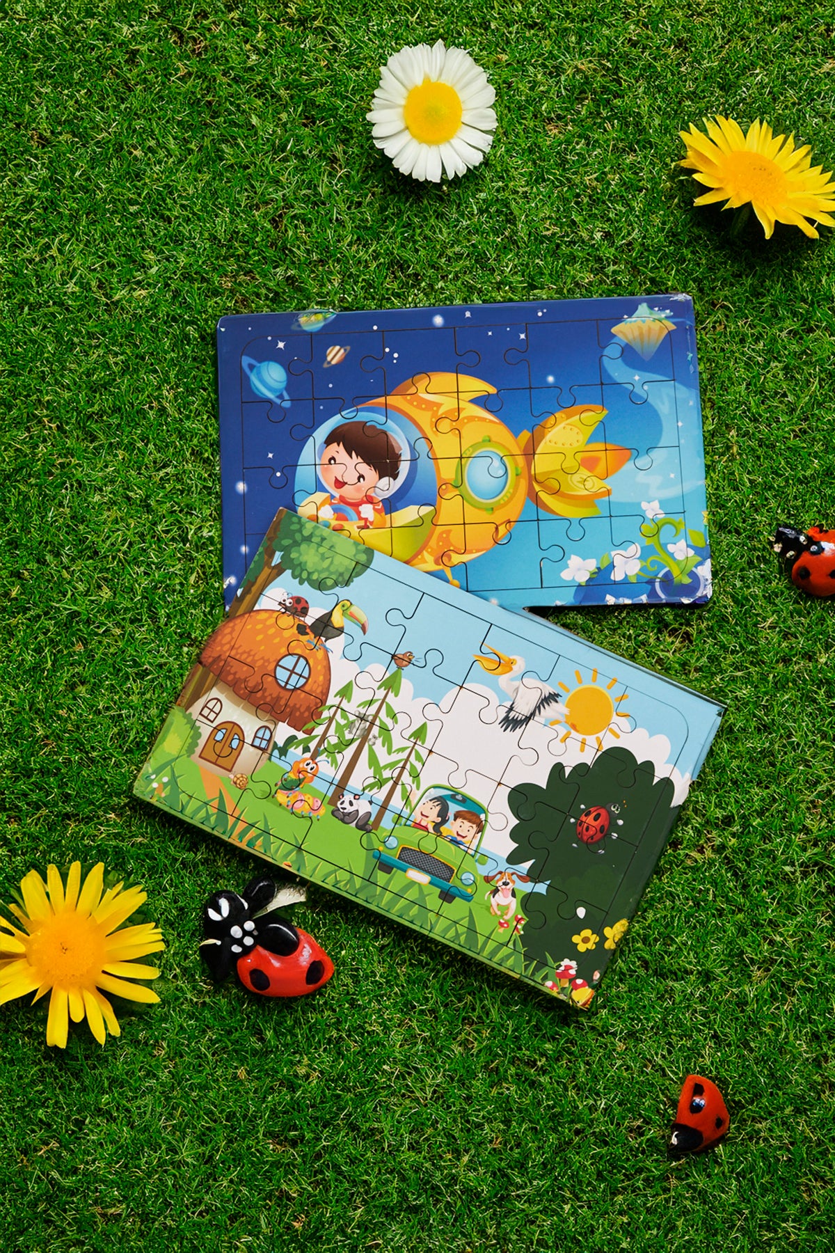 Okul Öncesi Başlangıç Yapboz Hayvanlar Alemi Ve Uzaya Yolculuk Ahşap Puzzle Set